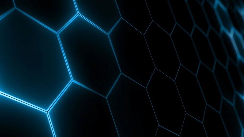 Fondo 12